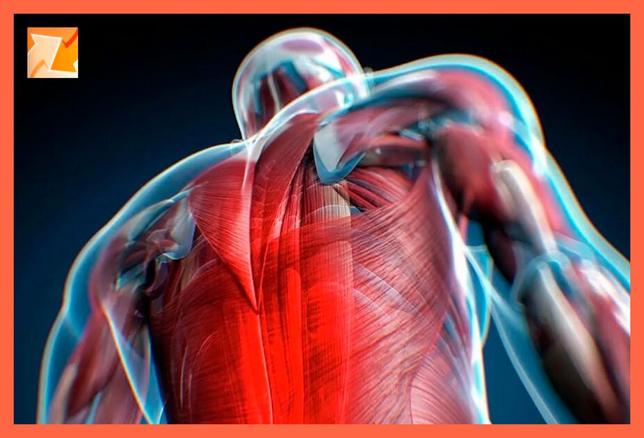 Characteristics of anxiety