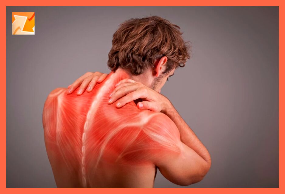 Effect of chondroten gel on back muscles and ligaments